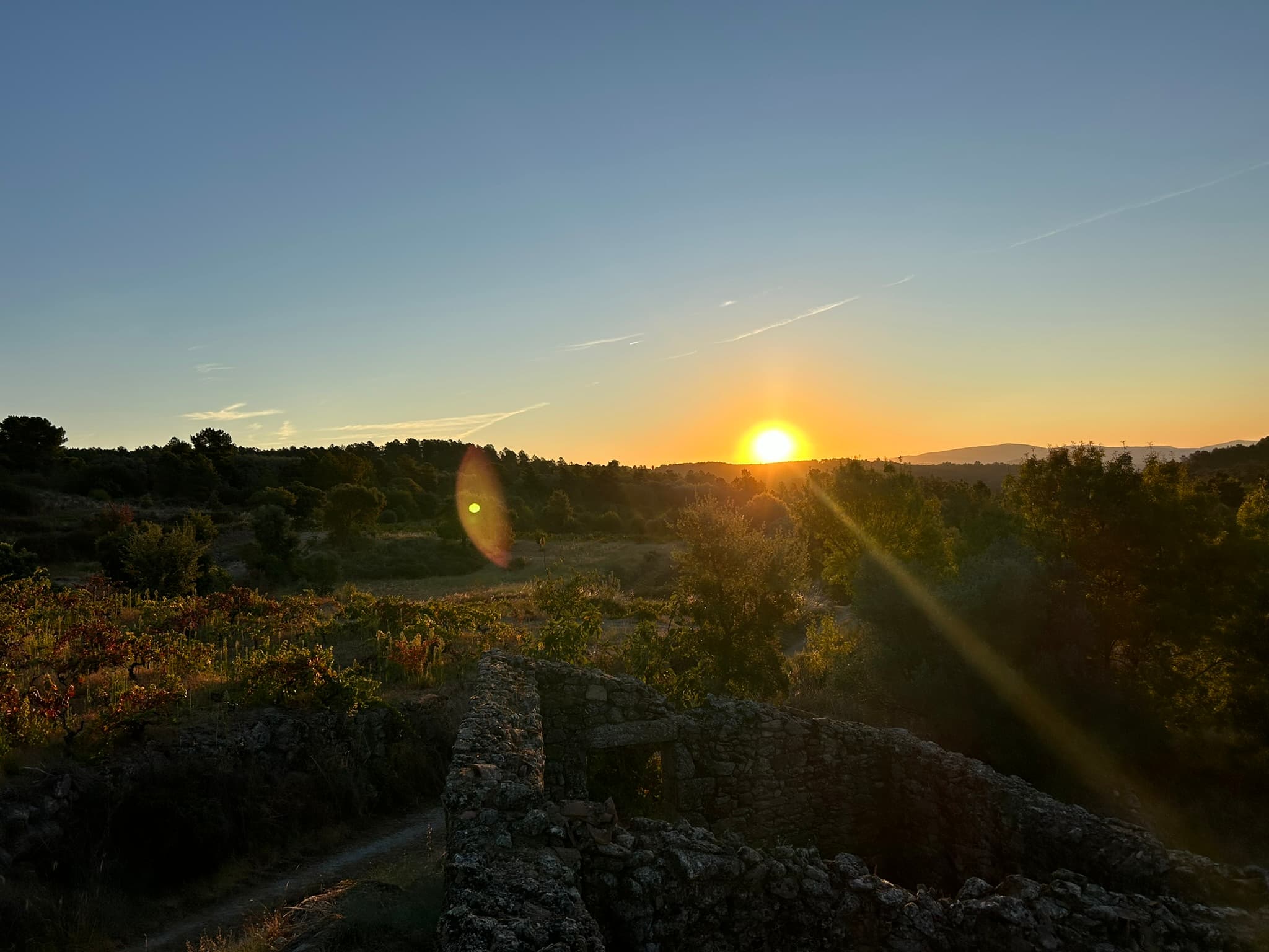 Quinta Do Burro Farm