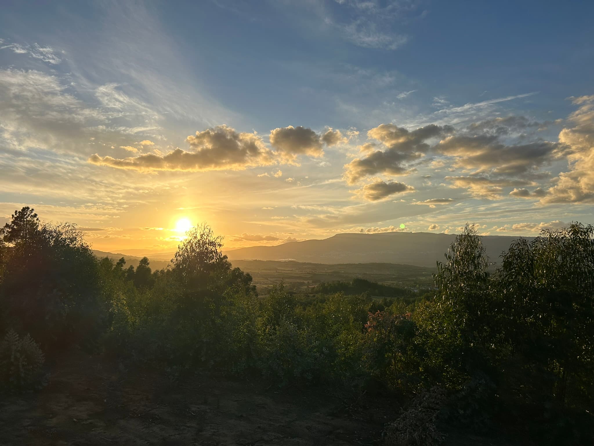 Quinta Do Burro Landscape