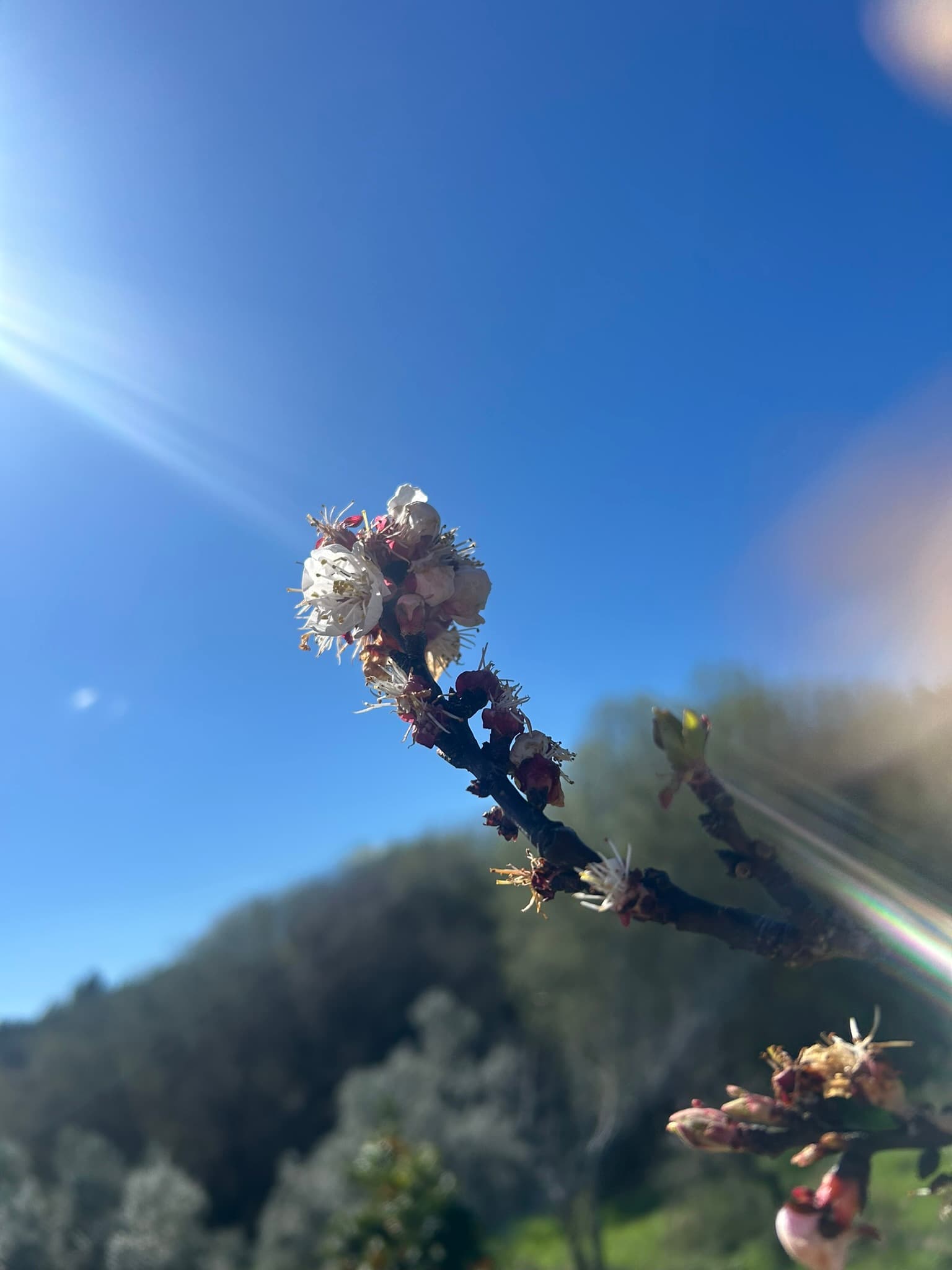 Natural beauty around the Quinta